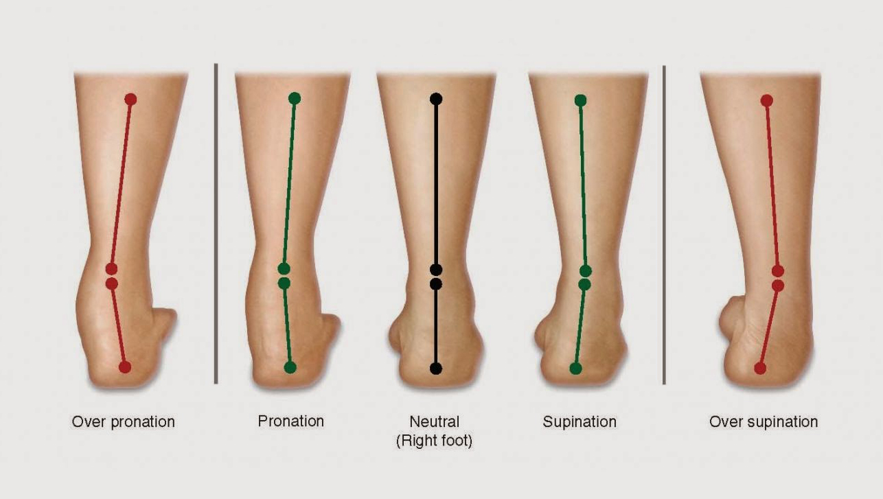 Down and dirty differences between pronation vs supination? - Foot